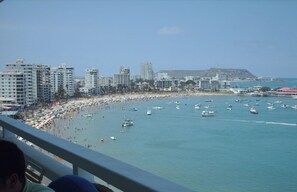 Property grounds - Ocean views and ocean breeze (Salinas)