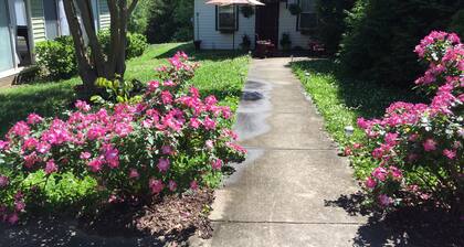 Cozy, cottage,1bedroom 1bath,1daybed in open living space. Much liked, Monthly