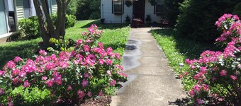 Furnished,1bed 1bath cozy cottage full kitchen and laundry Monthly rentals avail