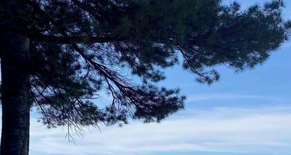 Klassinen järvimökki taskulampulla