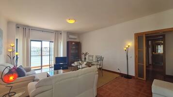 Smart TV, fireplace, DVD player, books