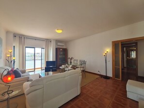 Smart TV, fireplace, DVD player, books