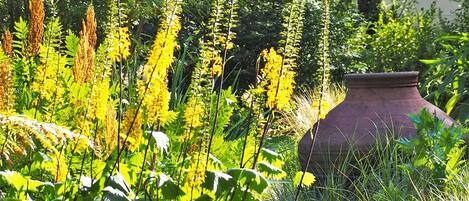Escape to a serene garden oasis, surrounded by lush greenery and vibrant wildflowers.