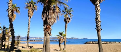 Playa en los alrededores