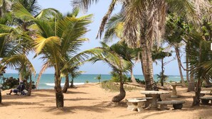 A sandy beach with palm trees and a clear view of the ocean. - Beach Oasis - Ground Floor Beach Apartment Steps to the Pool! (Río Grande)