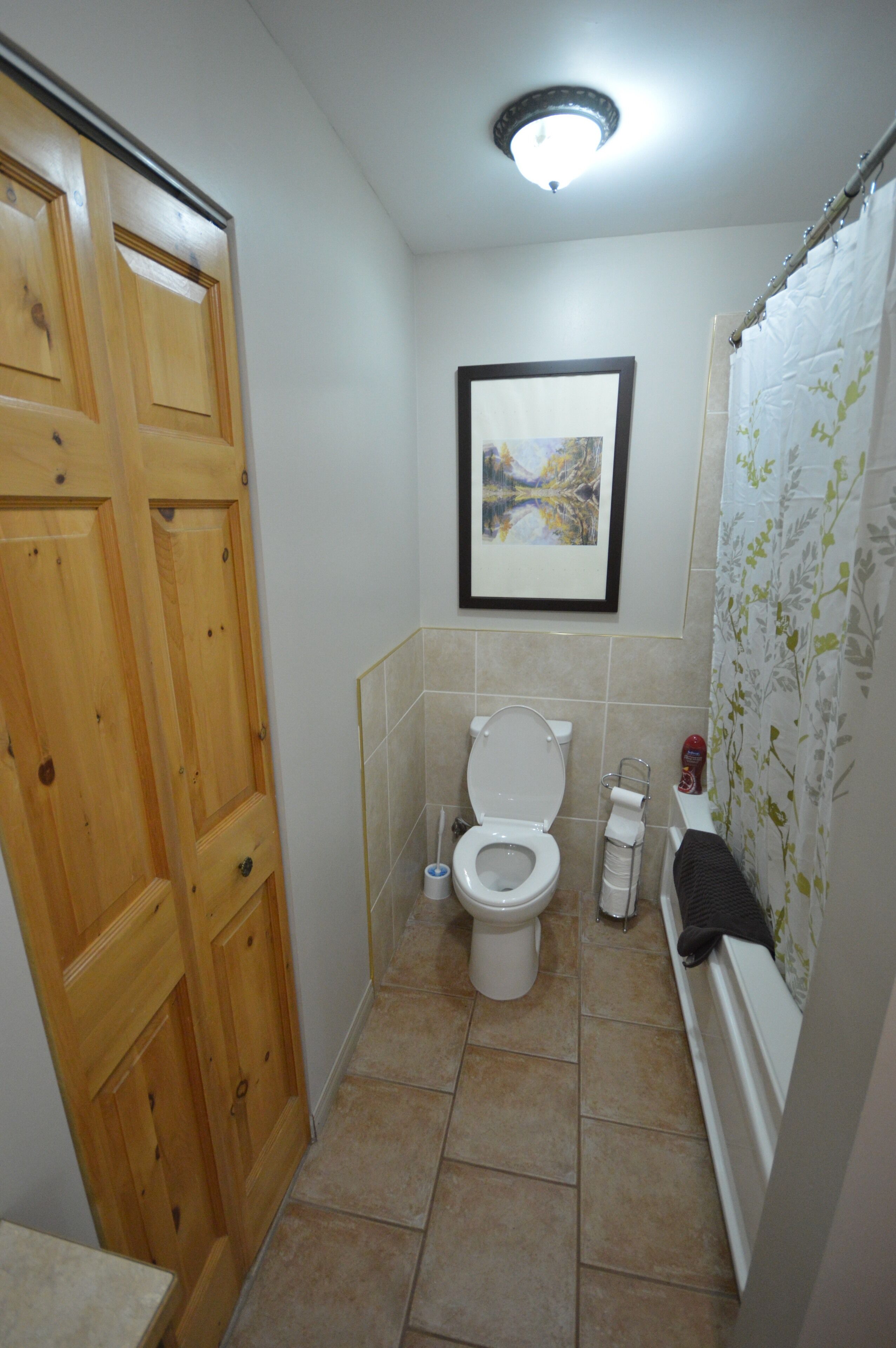 A small bathroom with a toilet, a framed picture on the wall, and a shower curtain.
