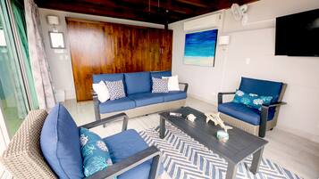 Smart TV, DVD player, books, video library