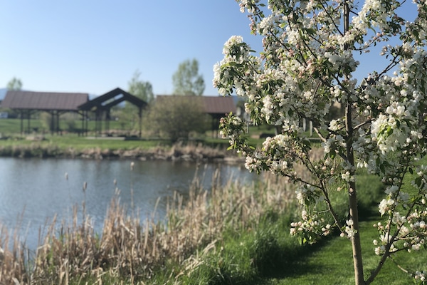 Meyers Lake and Pavilion