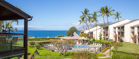 A resort with a pool, palm trees, and a view of the ocean.