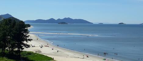 بالقرب من الشاطئ