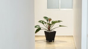 Interior - Hotel Nattivo Uraba (Apartadó)