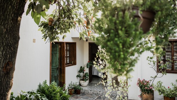 A courtyard with a white building, potted plants, and a tree. - Tierra Soñada Hotel Boutique (Tepatitlan de Morelos)