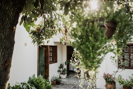 Garden. Tierra Soñada Hotel Boutique