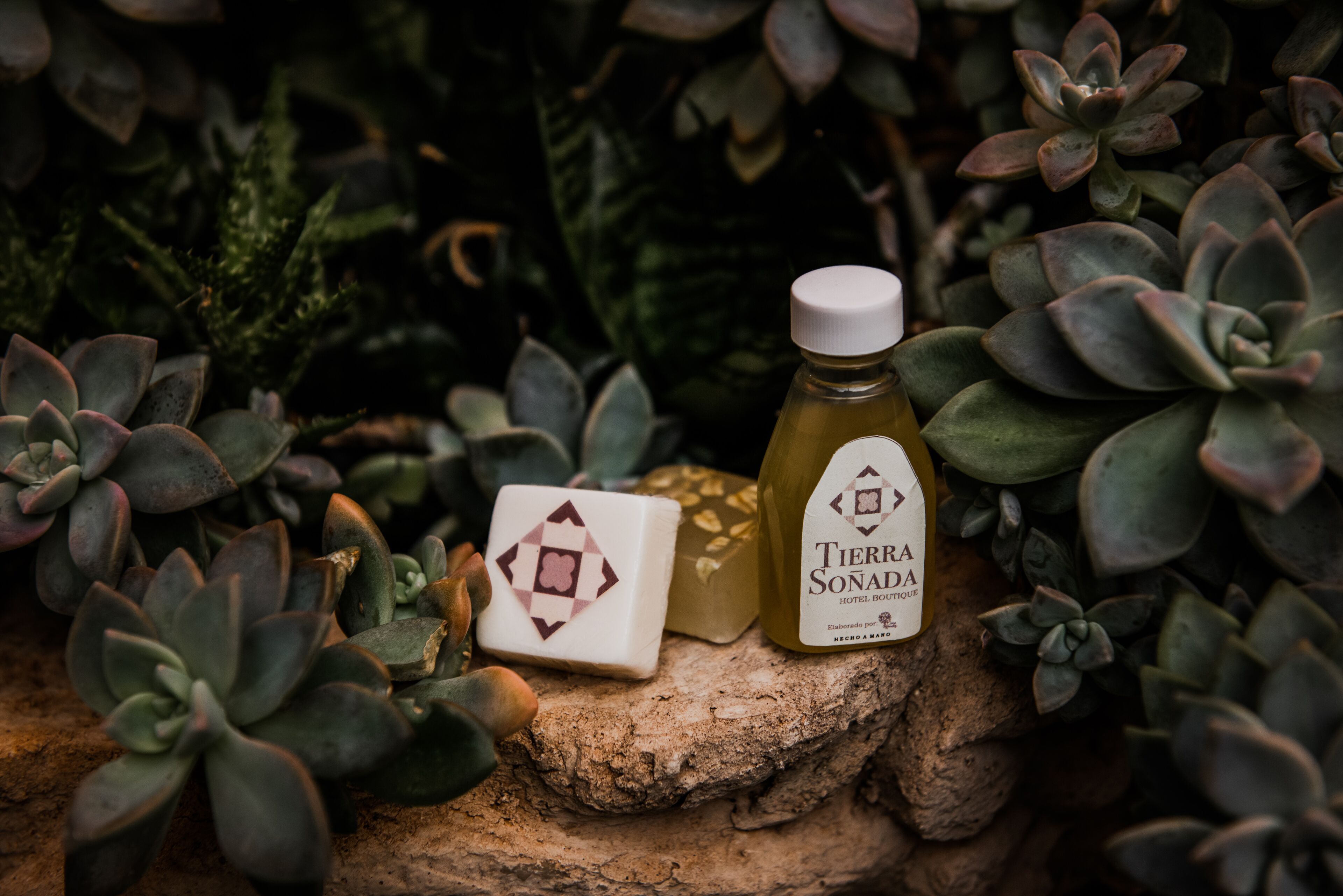 shower, rainfall showerhead, free toiletries, towels