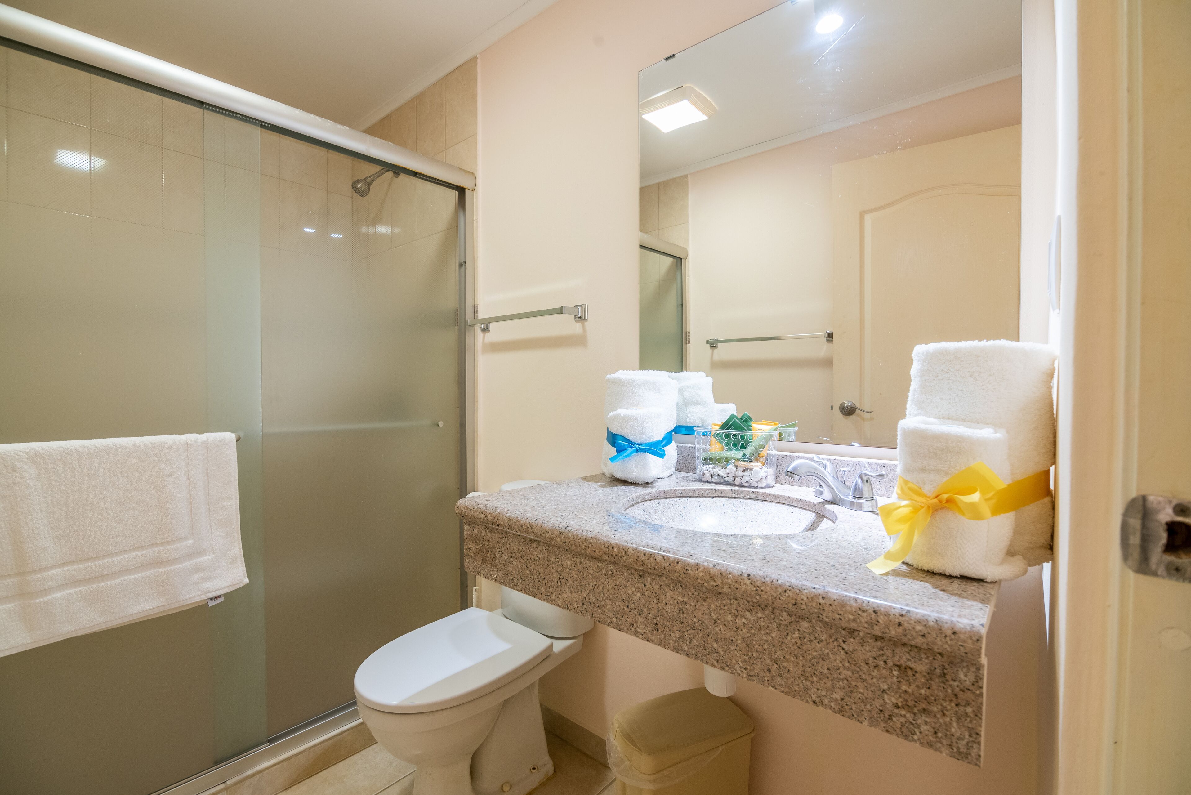 shower, rainfall showerhead, free toiletries, hair dryer