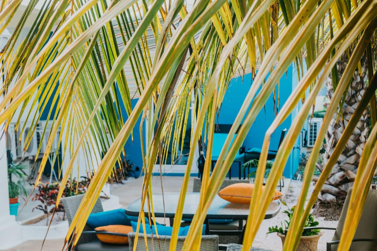 Donzen dekbedden, Select Comfort-bedden, een kluis op de kamer