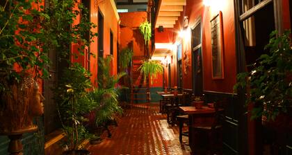 KACLLA, The Healing Dog Hostel