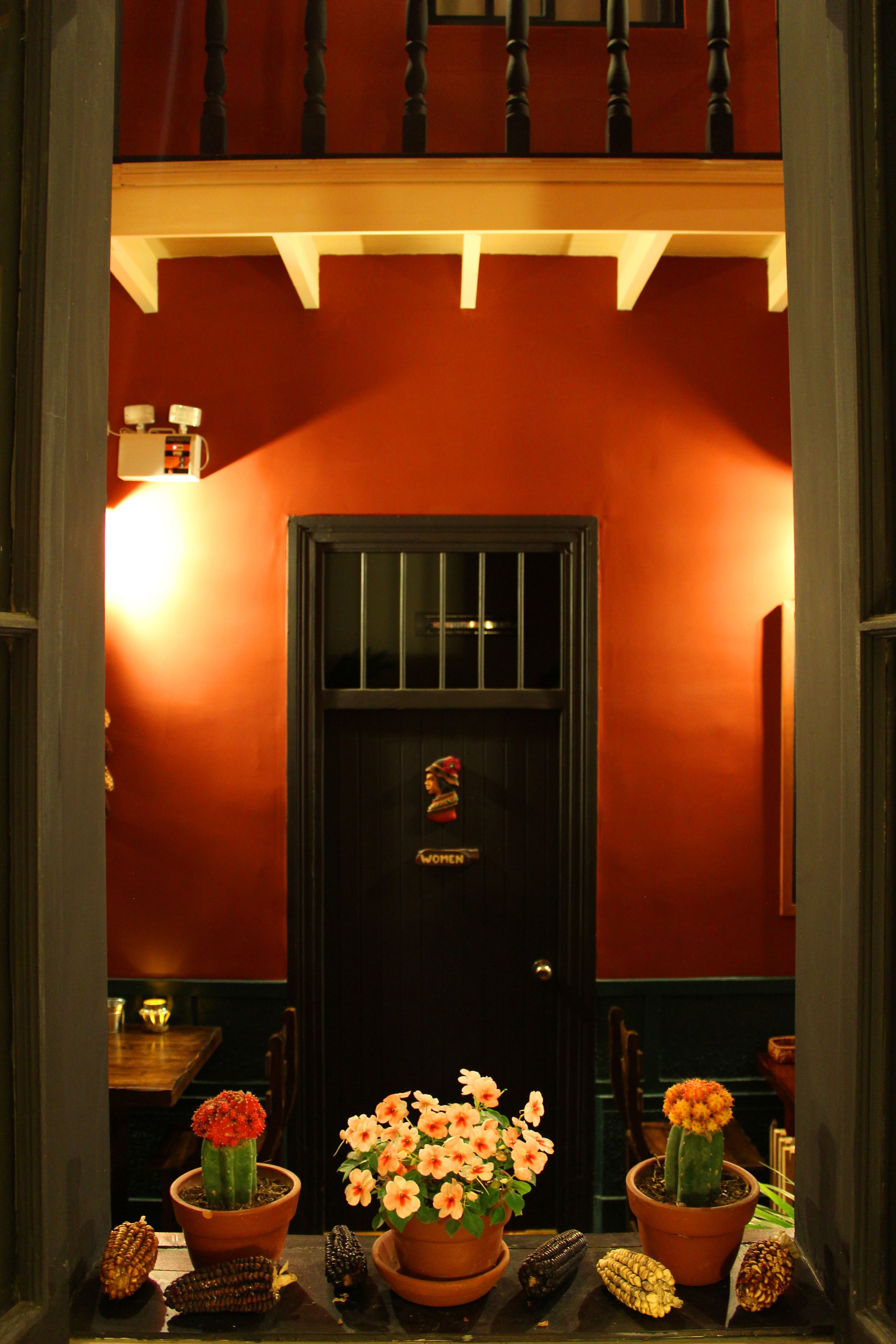 Foto - KACLLA, The Healing Dog Hostel