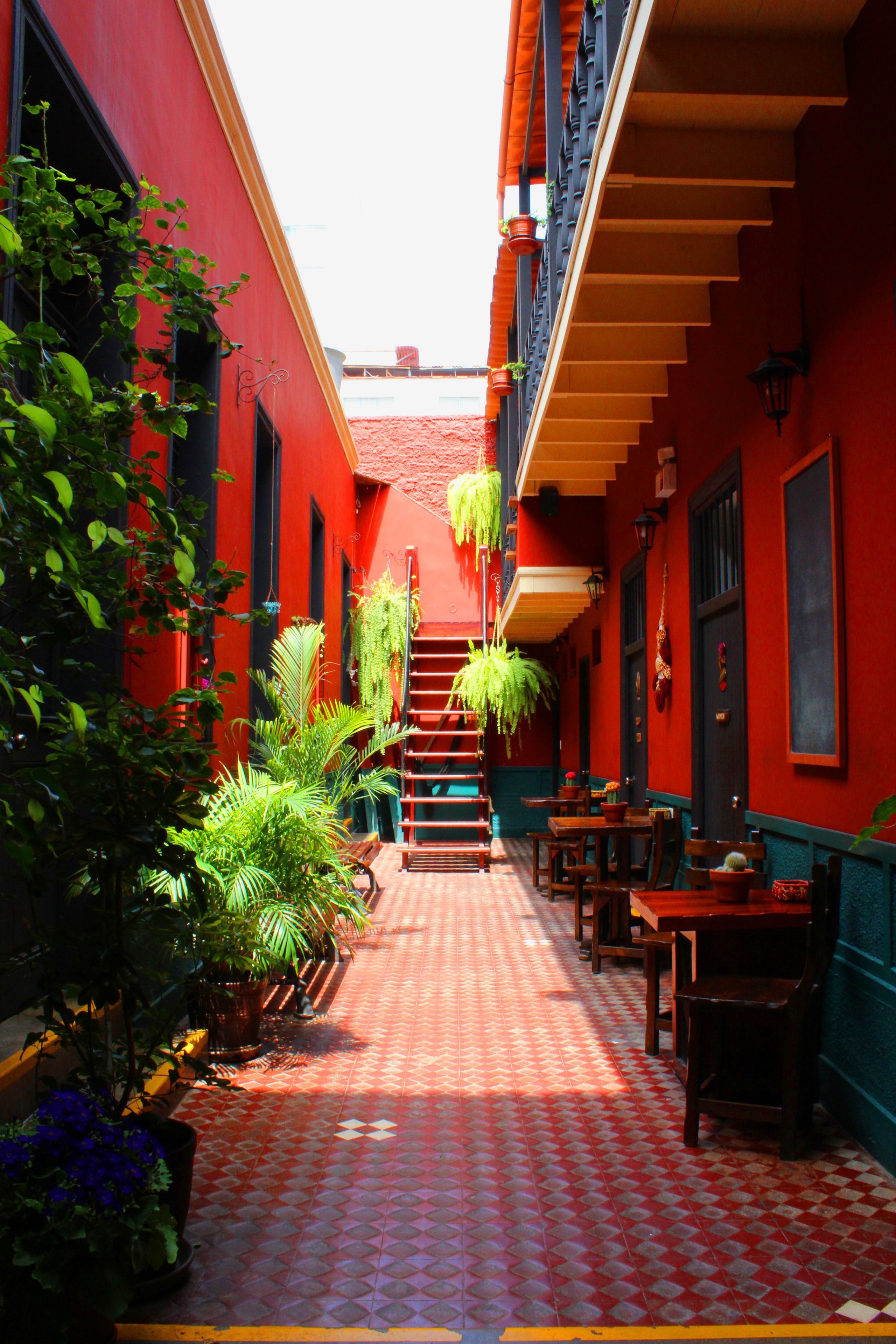 Foto - KACLLA, The Healing Dog Hostel