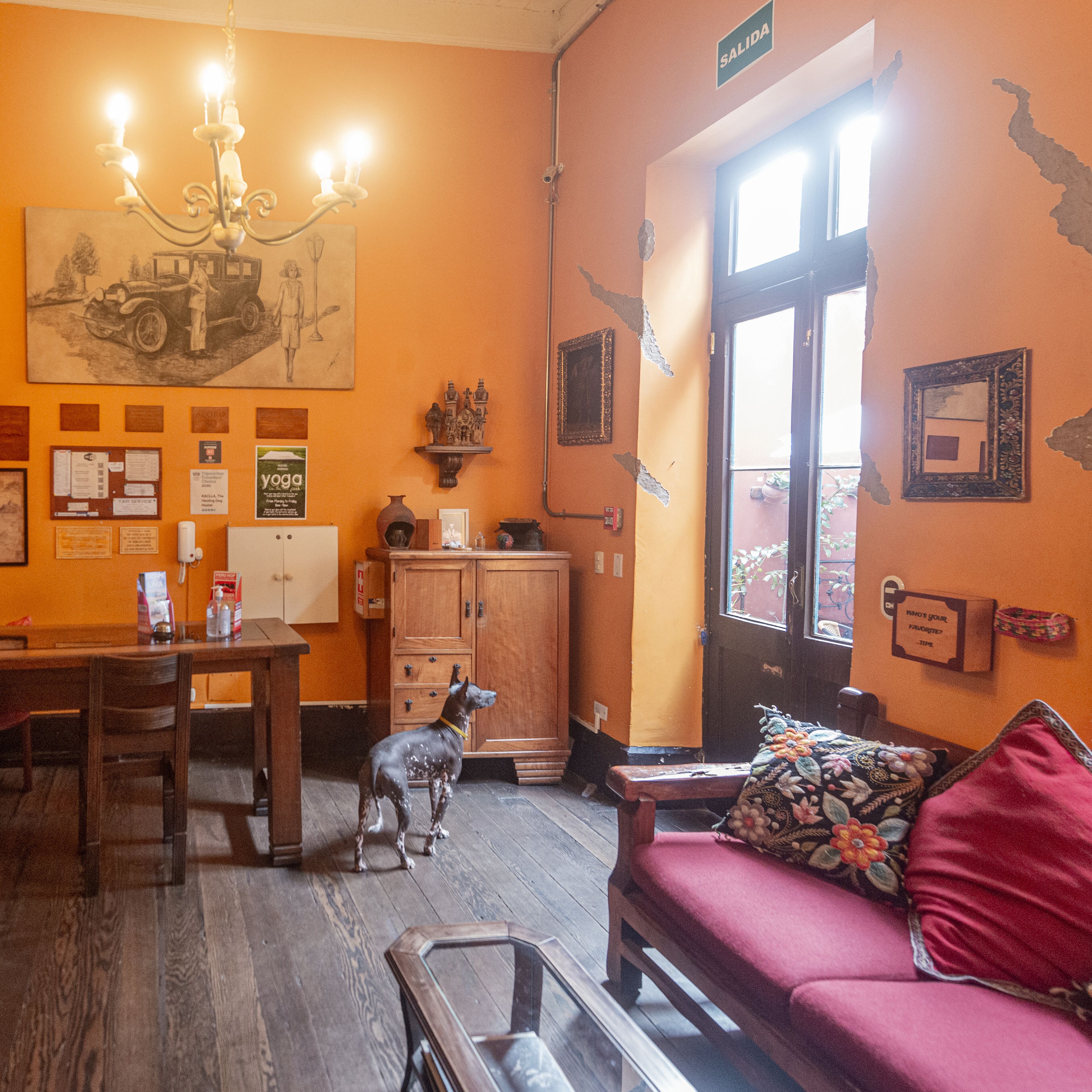 Foto - KACLLA, The Healing Dog Hostel