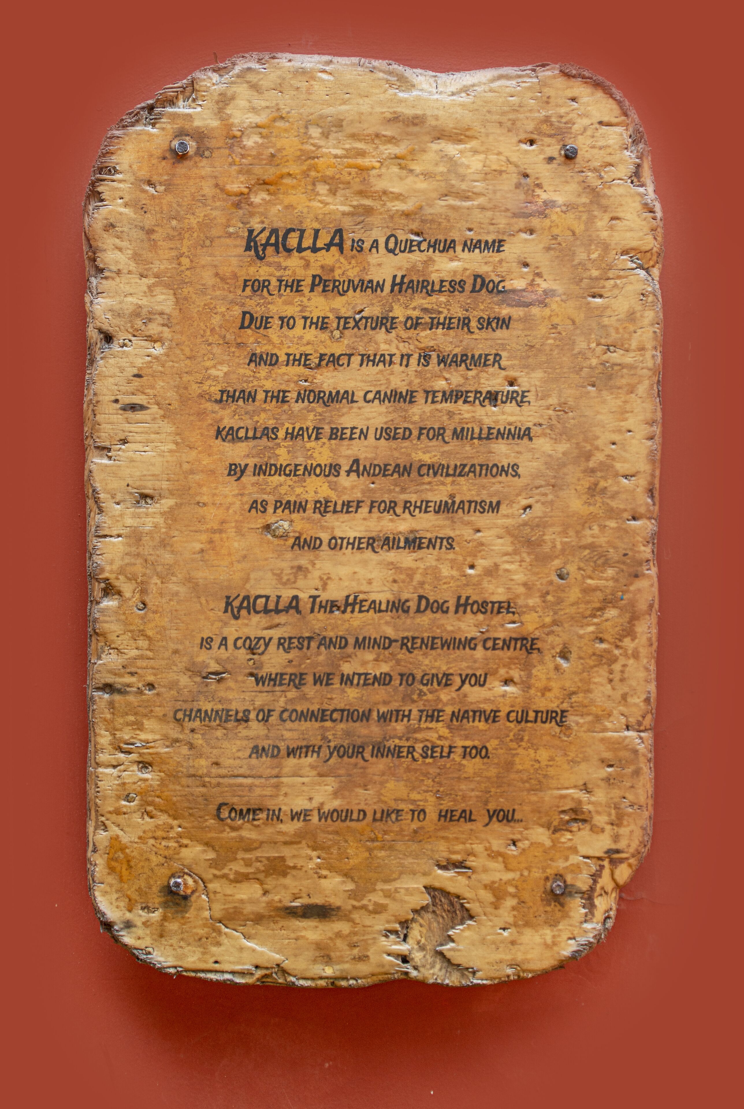 Foto - KACLLA, The Healing Dog Hostel