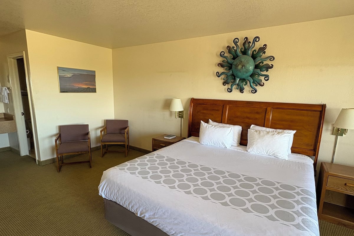 Standard Room, 1 King Bed, Non Smoking | Desk, laptop workspace, blackout curtains, free WiFi