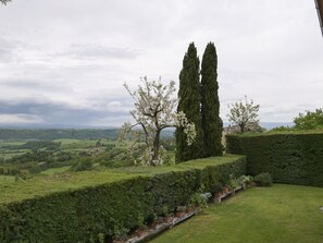 Área da propriedade