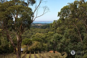 View from room - Myers Road Retreat (Merricks North)