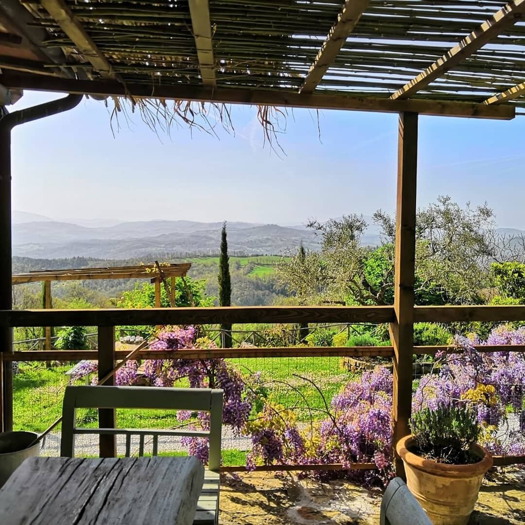 Farmhouse Rentals | Rustic Stays with Modern Comforts | Vrbo