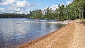 En strand med en träbrygga som sträcker sig ut i stilla vatten, omgiven av täta träd och en klar himmel.