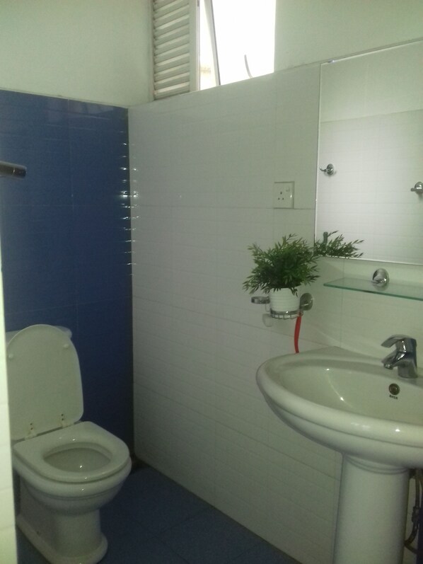 A bathroom with a toilet, a sink, and a mirror. - Empire Valley Hotel (Kandy)
