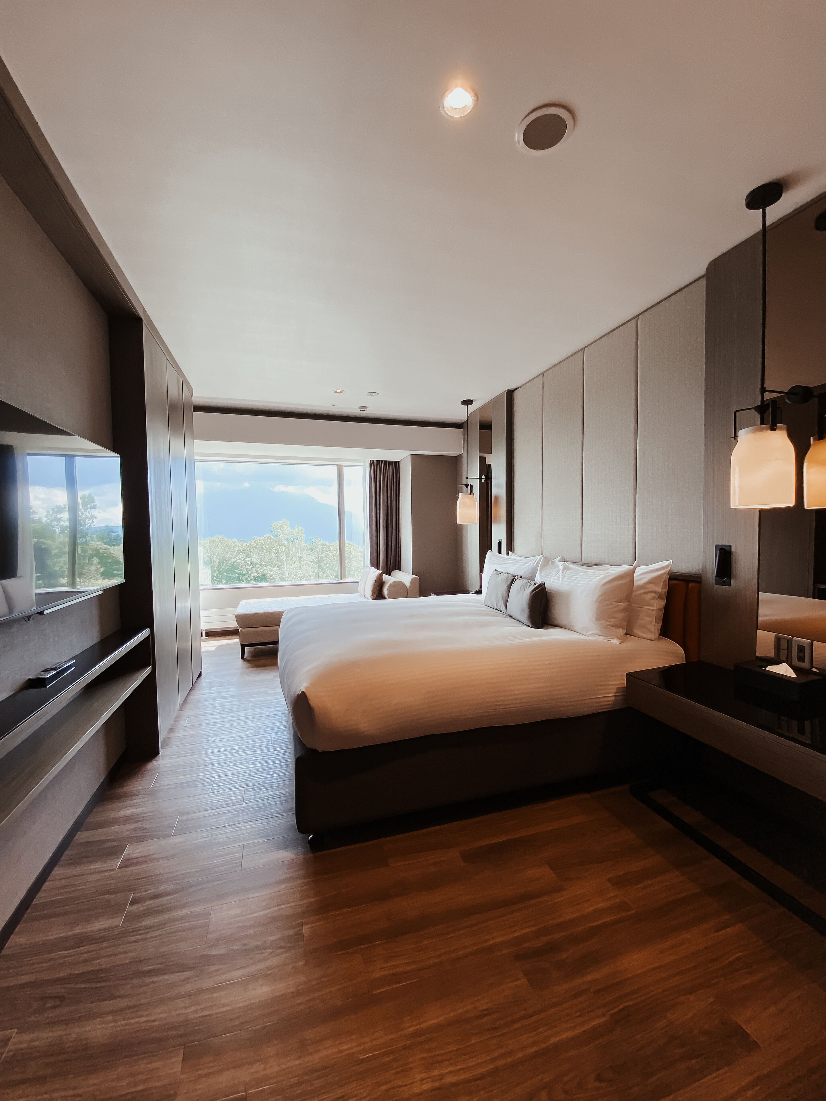 A modern hotel room with a large bed, a flat-screen TV, a wooden floor, and a view of the outdoors.