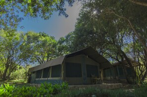 Standard Tent, 3 Single Beds