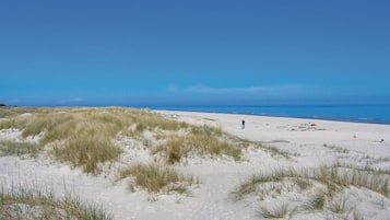 在海灘附近、釣魚