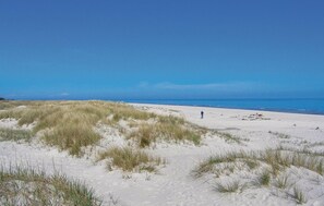 Beach nearby, fishing
