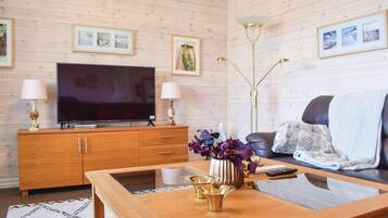 Televisión y chimenea