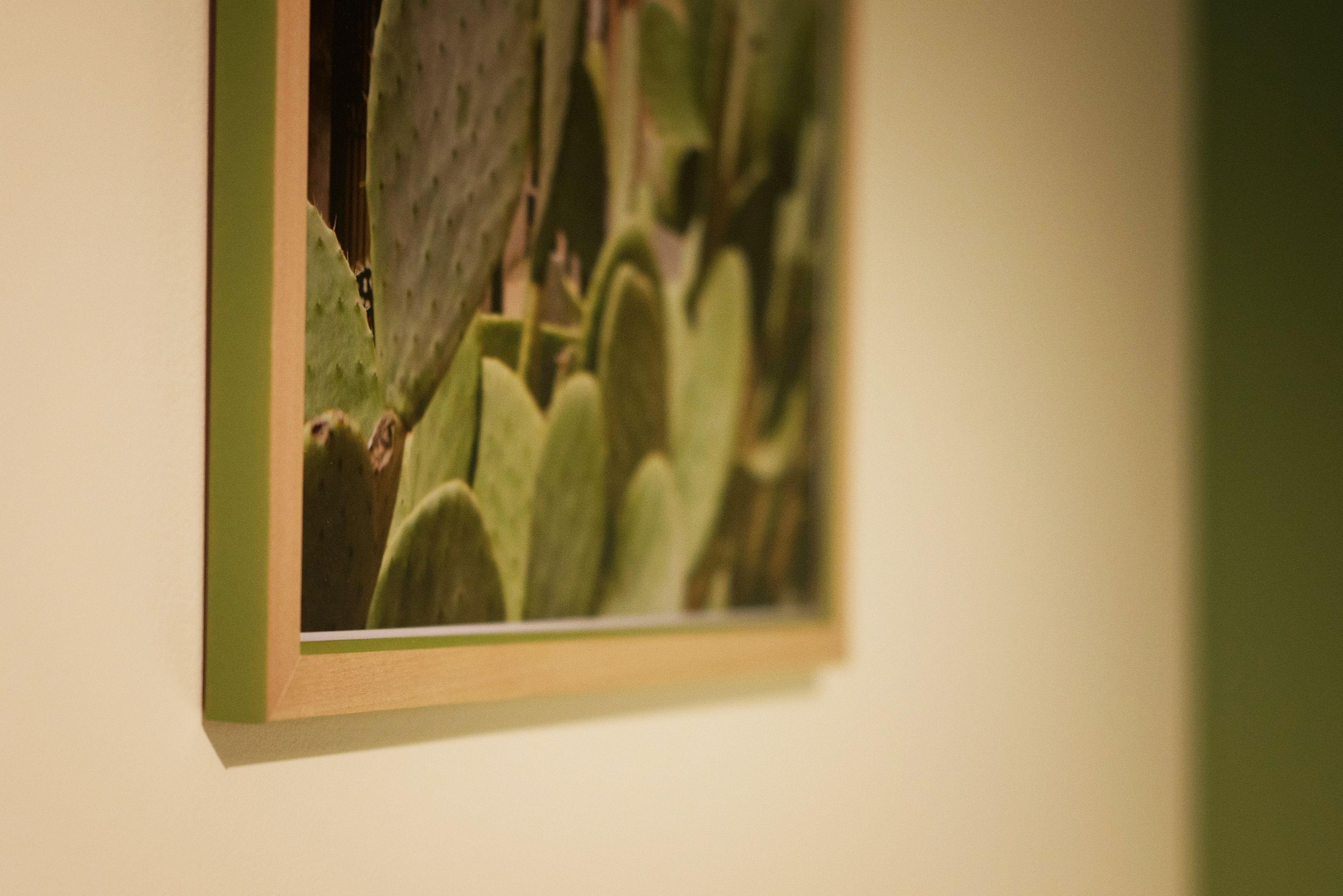 A framed picture of a cactus plant on a wall.