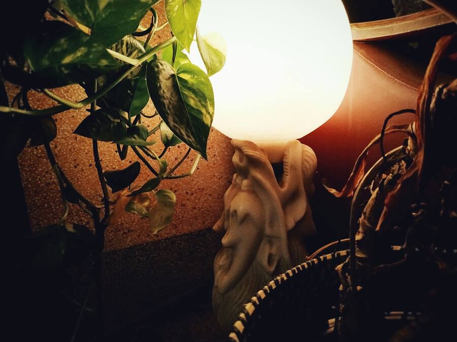 A statue of a woman with a child, a lamp, and a plant.