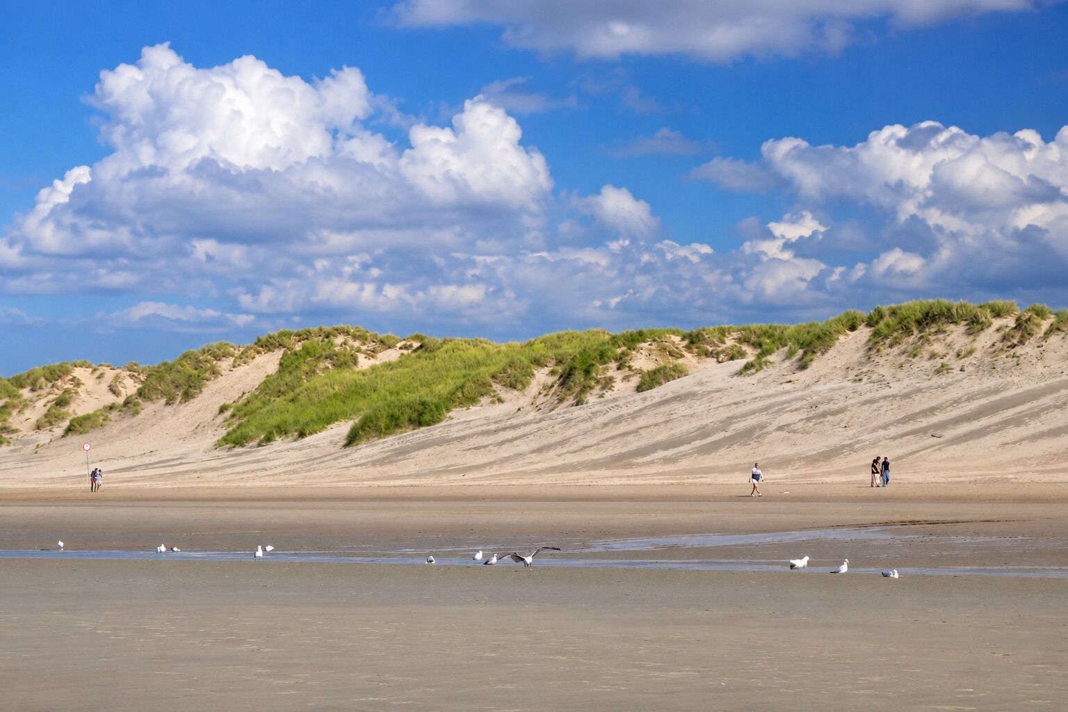 A beach with dunes, a clear sky, and people walking.