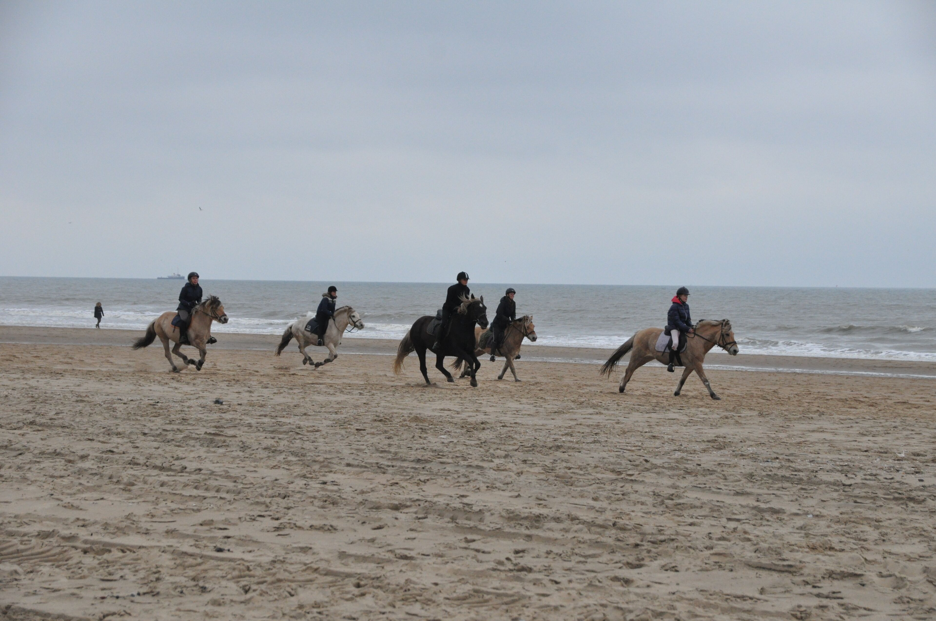 Une plage où l’on peut faire des promenades à cheval.