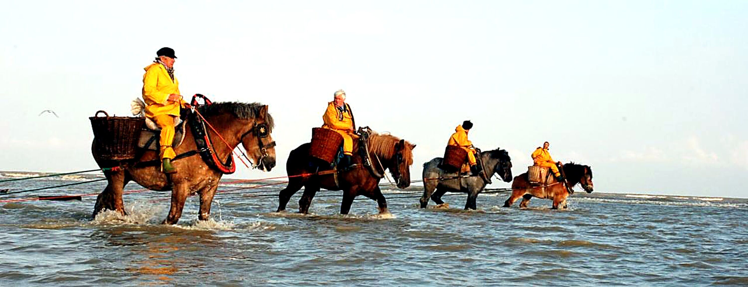 A group of people riding horses across a body of water.