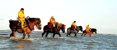A group of people riding horses across a body of water.