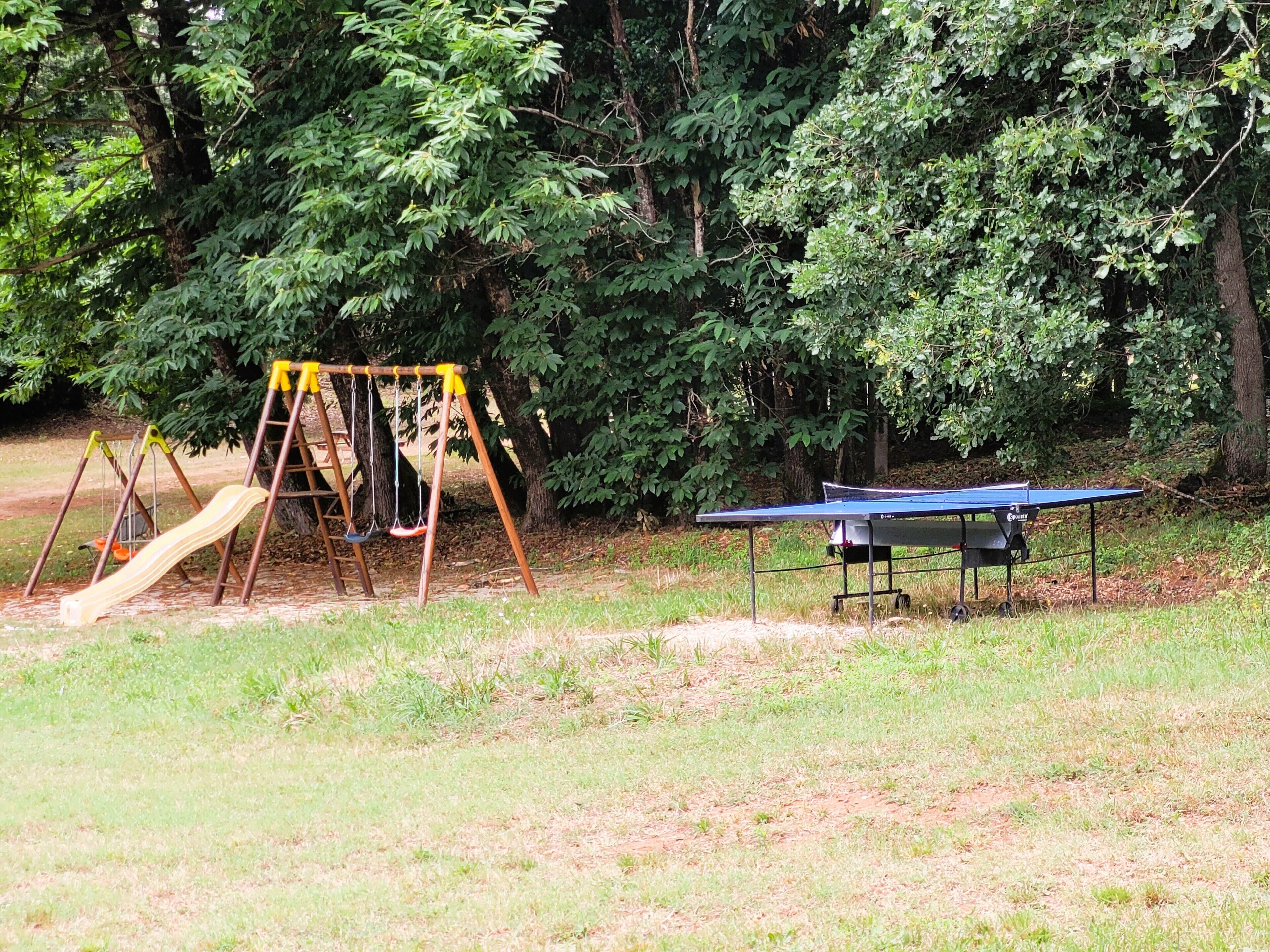 En lekplats med en gunga och ett bordtennisbord, belägen på en gräsyta med träd i bakgrunden.