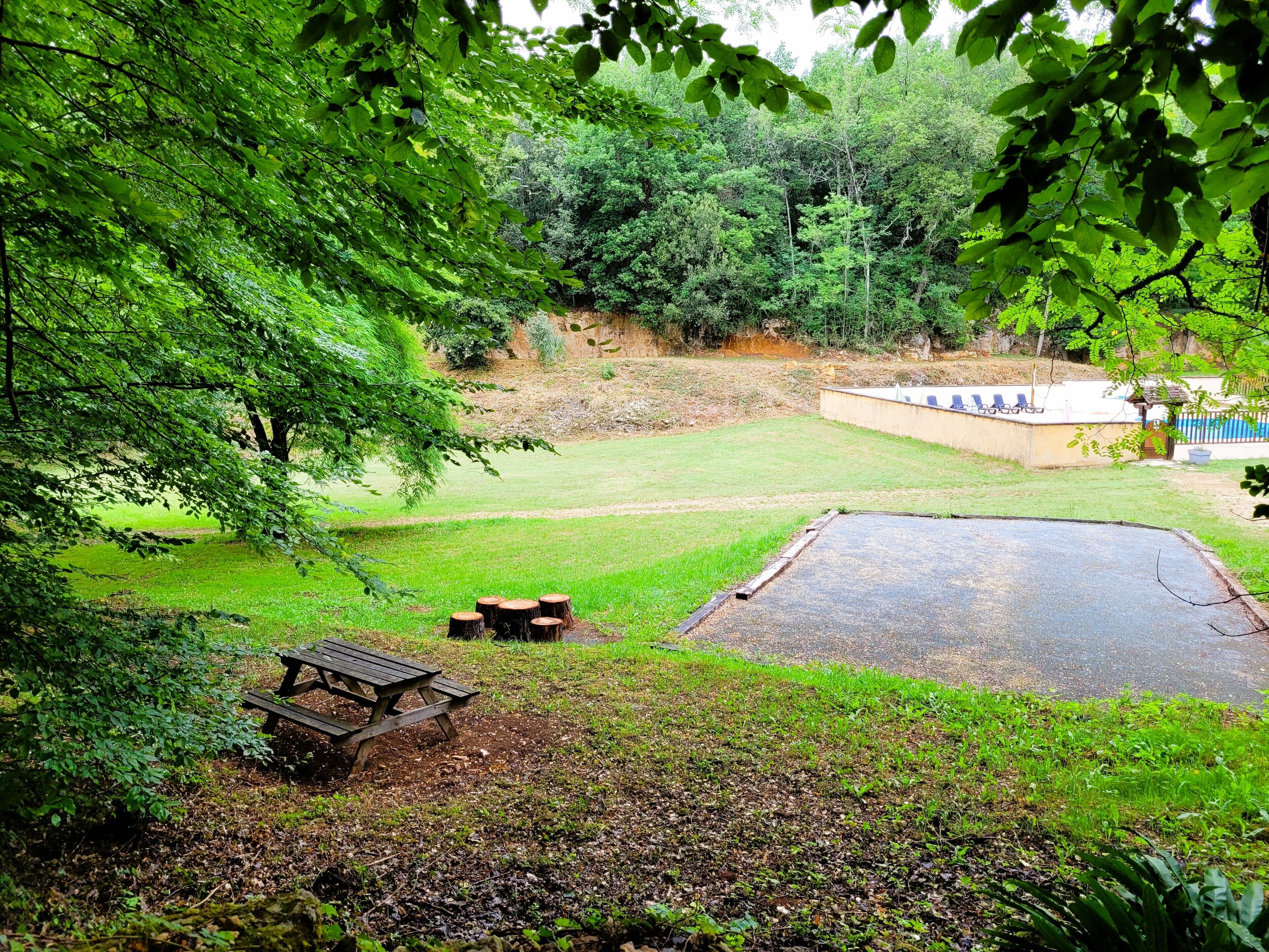 A grassy area with a picnic table and a small pond.