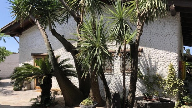 A courtyard with a stone wall, palm trees, and a rustic building with a wooden door. - Sa Crannaccia (Cabras)