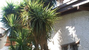 A courtyard with palm trees, a stone bench, and a white building with two windows. - Sa Crannaccia (Cabras)
