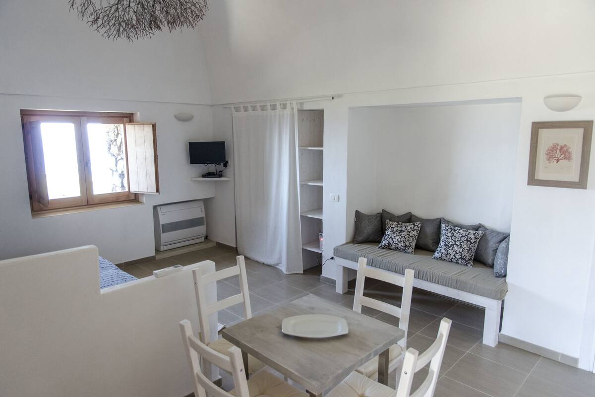 A compact living space with a dining table, chairs, a sofa, a TV, and a bookshelf.
