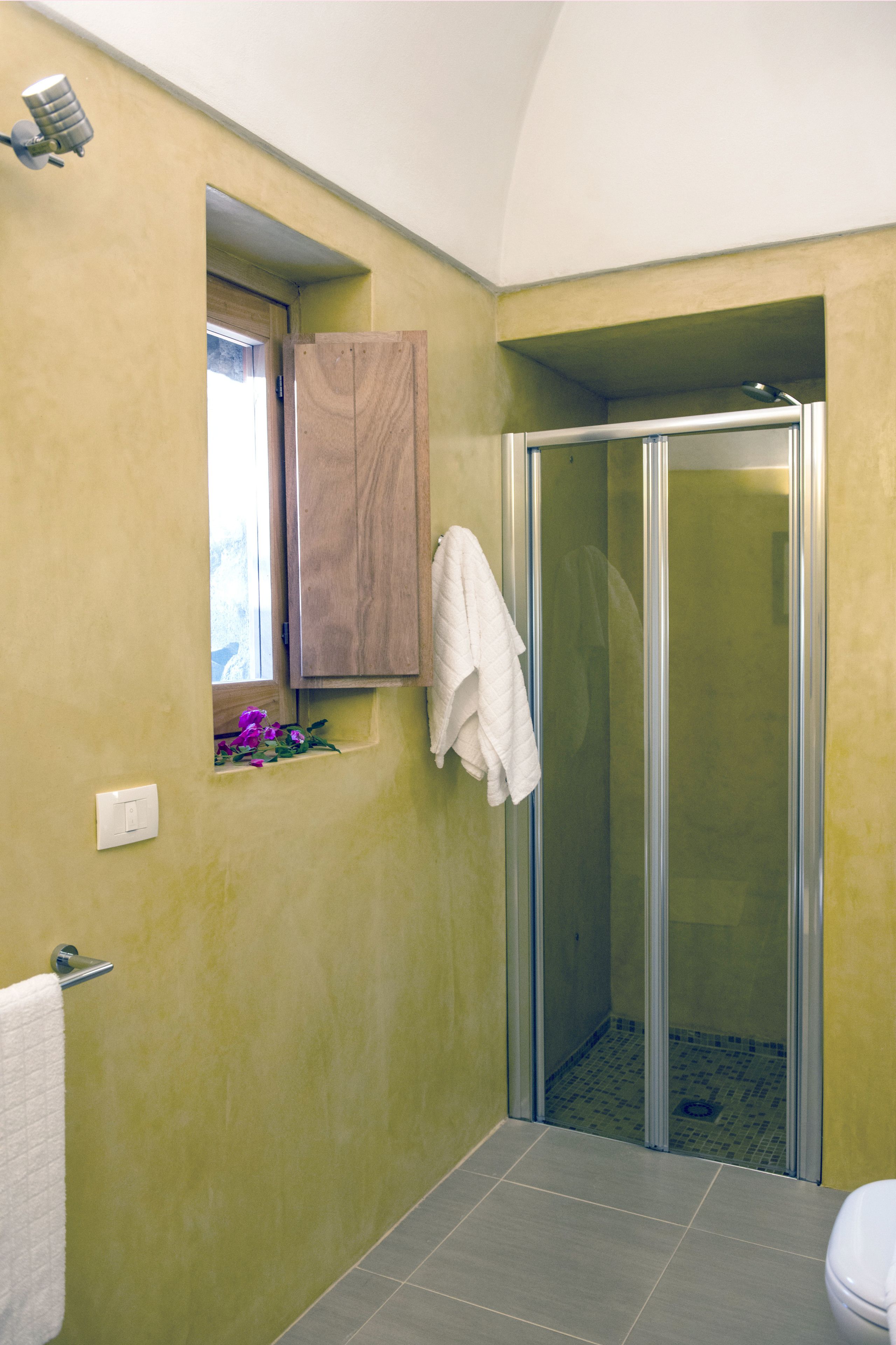 A bathroom with a shower, a window, and a towel rack.