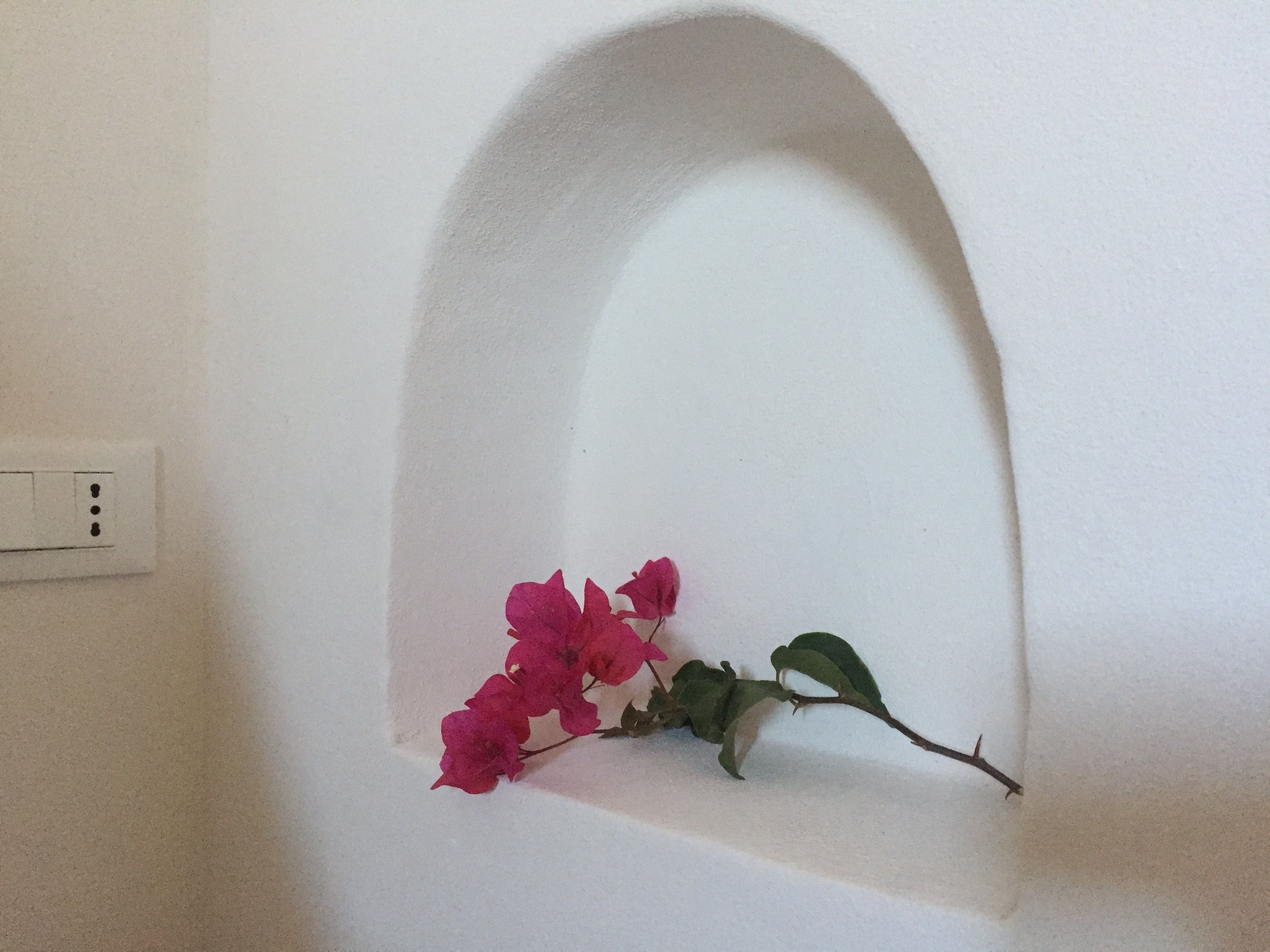 En hvid væg med en fordybet alcove, der indeholder en stikkontakt og en lyserød blomst.