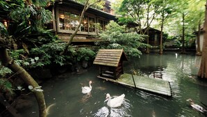 A serene pond with swans, surrounded by lush greenery and traditional wooden structures. - Zhuo Ye Cottage (Sanyi)